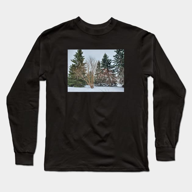 Alberta Winter 03 Long Sleeve T-Shirt by Kyarwon